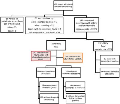 Dementia incidence among a cohort of lebanese older adults: first incidence estimates from the Middle East and North Africa region